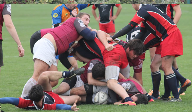 rugby-pulv